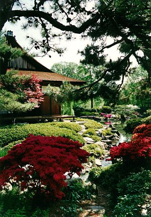 Traditional Japanese Garden