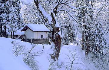 House in Northern Japan