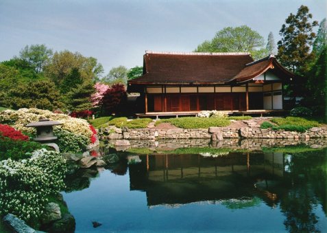 Traditional Japanese Garden